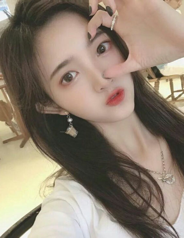 波士顿伴游价格